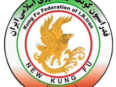 تیم نیو کونگ‌فو خوزستان نائب‌قهرمان کشور شد 