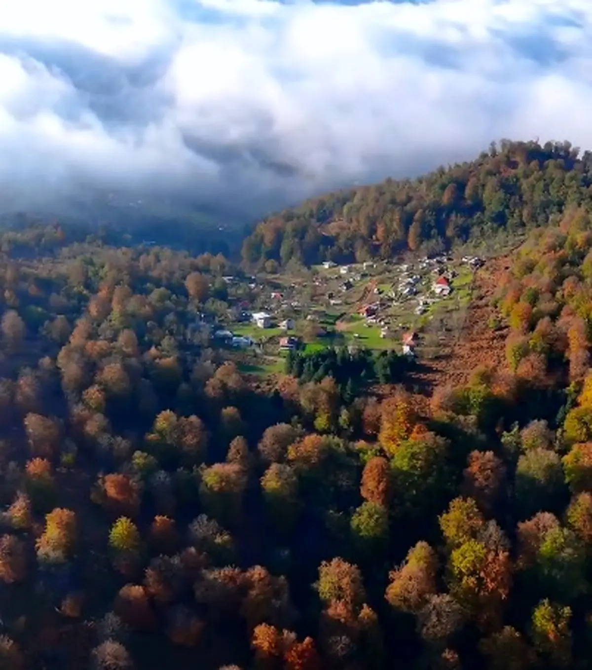 صبح زیبای پاییزی در تالش + فیلم