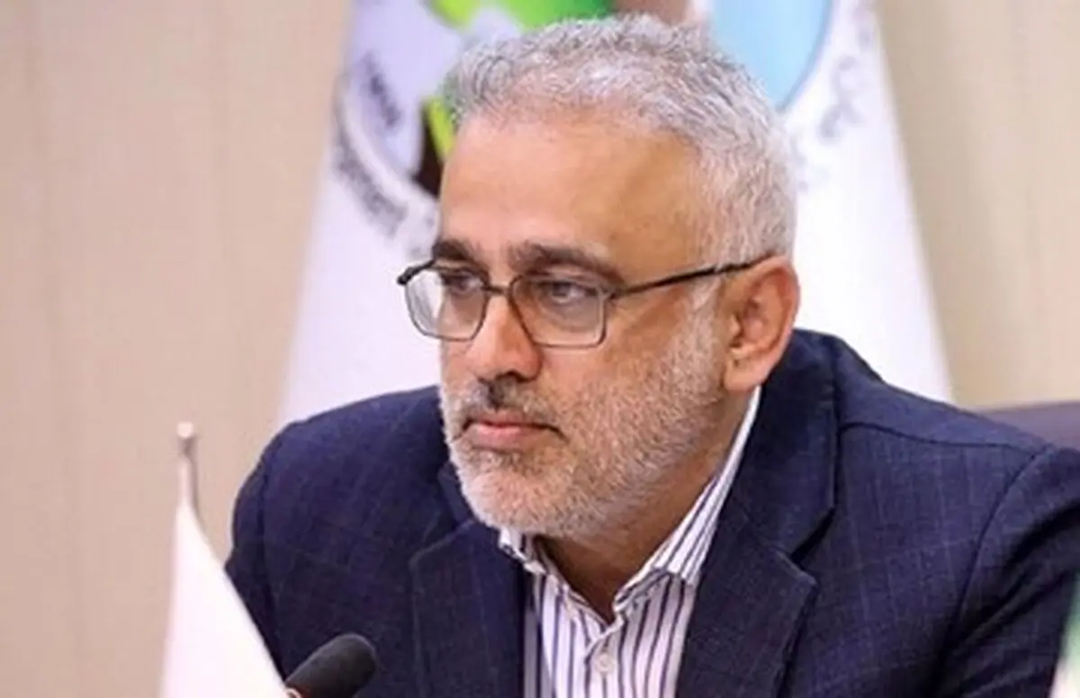 نظر رئیس سازمان منابع طبیعی درباره برخورد با تخلفات
