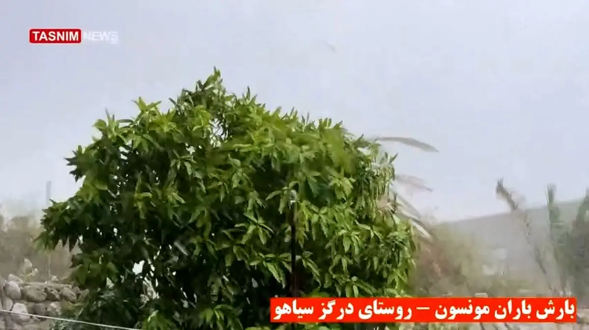 بارش باران مونسون در هرمزگان + فیلم