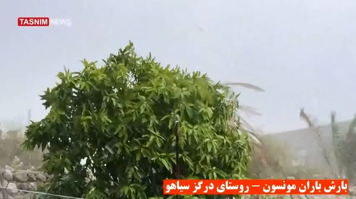 بارش باران مونسون در هرمزگان + فیلم
