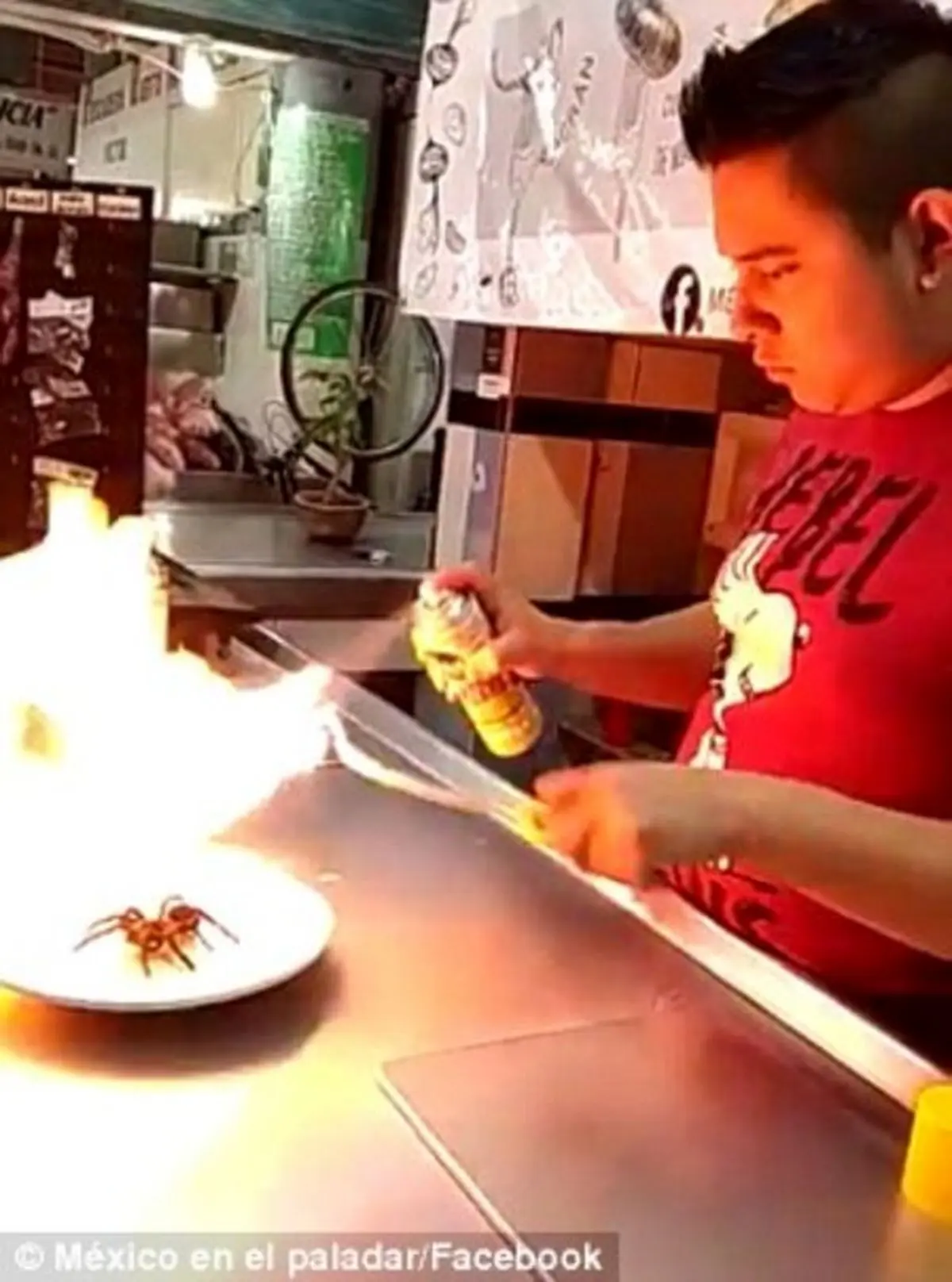 سرو عنکبوت زنده در رستوران مکزیکی+عکس