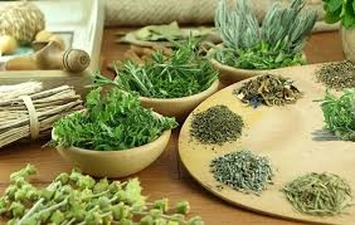26 هزار تن گیاهان دارویی در همدان تولید شد
