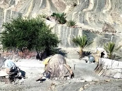 رنج کپرنشینان تریش؛متروکه‌ترین روستای بشاگرد/ طی روزانه ۴۵ کیلومتر راه برای تهیه مواد‌غذایی 
