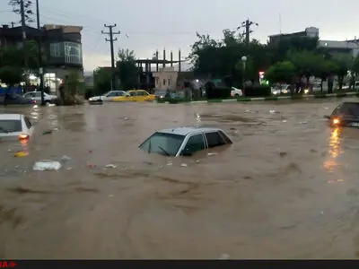 شناسایی هویت اجساد آغاز شد/قصور سازمان‌های ذیربط در اطلاع‌رسانی به هموطنان