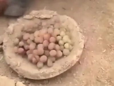 یک تکنیک قدیمی برای تازه نگه داشتن میوه‌ها