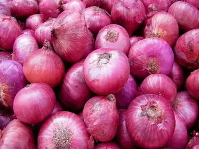 یک فایده پیاز که احتمالا نشنیده‌اید