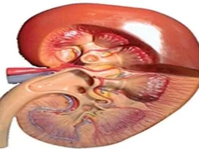 کودکی از جنس نیاز در انتظار پیوند کلیه