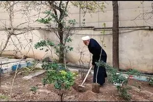حجت‌الاسلام اژه‌ای، یک اصله نهال غرس کرد
