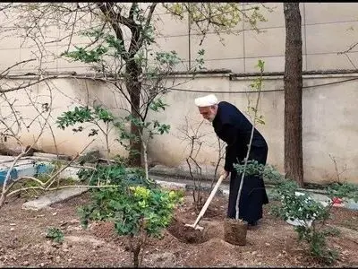 حجت‌الاسلام اژه‌ای، یک اصله نهال غرس کرد