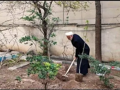 حجت‌الاسلام اژه‌ای، یک اصله نهال غرس کرد