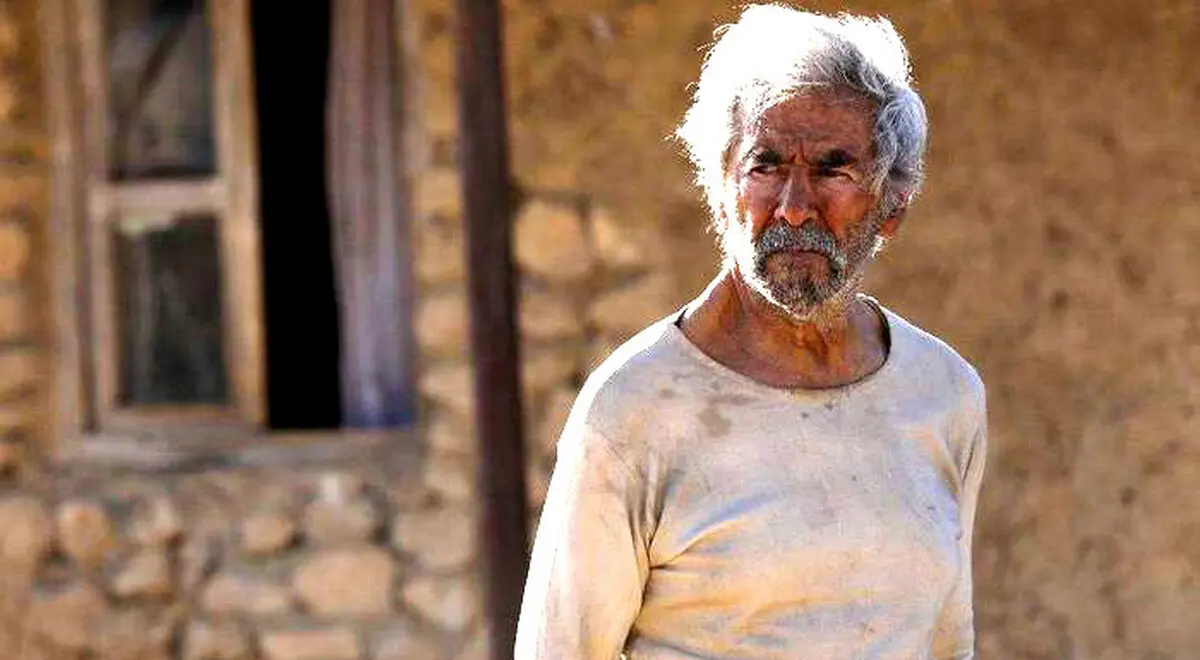 پخش ۱۷ فیلم سینمایی برای فردا