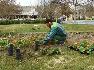 آغاز کاشت ۱۸ میلیون بوته گل فصلی در مشهد