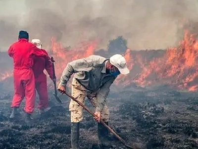 اطفای حریق پناهگاه حیات‌وحش میانکاله