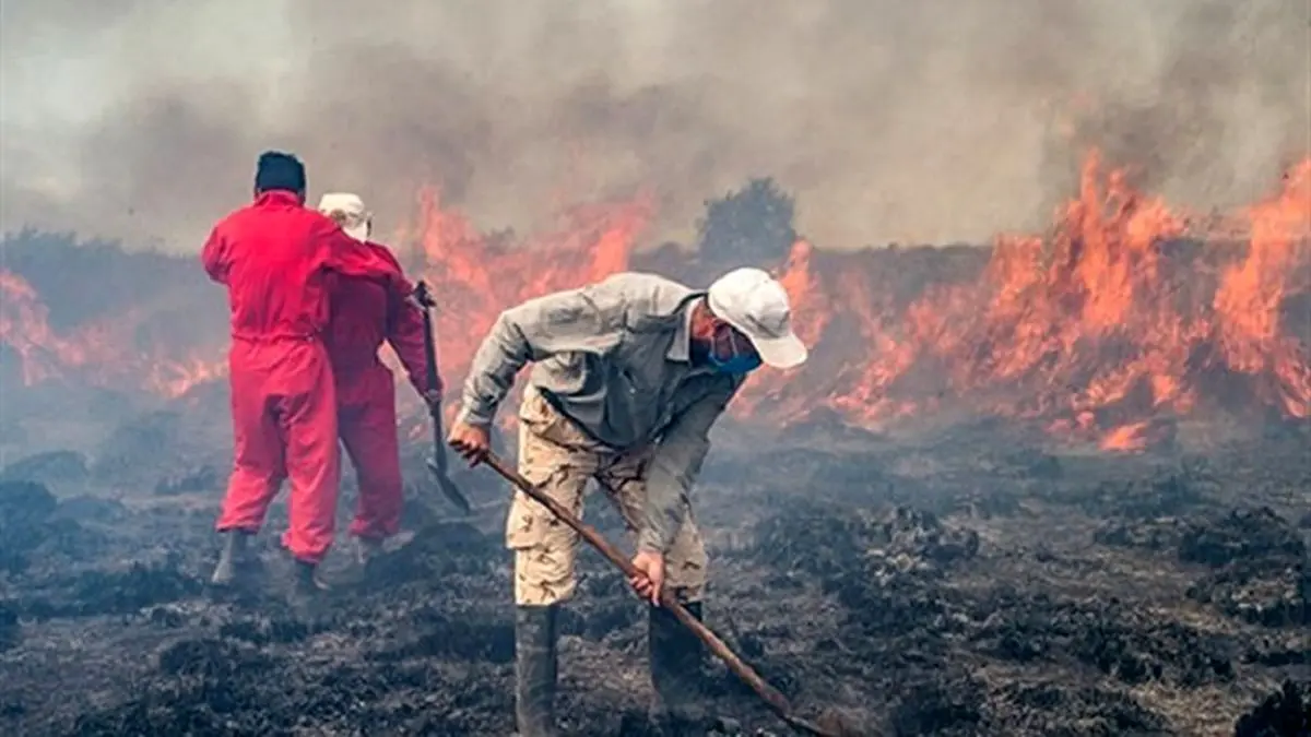 اطفای حریق پناهگاه حیات‌وحش میانکاله