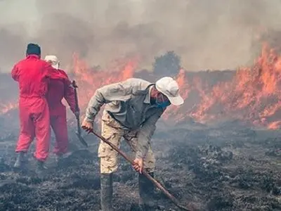 اطفای حریق پناهگاه حیات‌وحش میانکاله