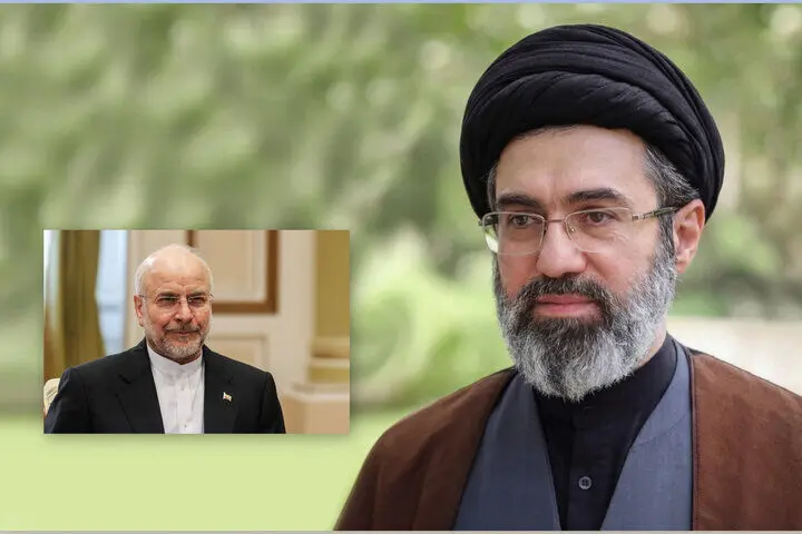 دیدار رئیس مجلس شورای اسلامی با رهبر انقلاب