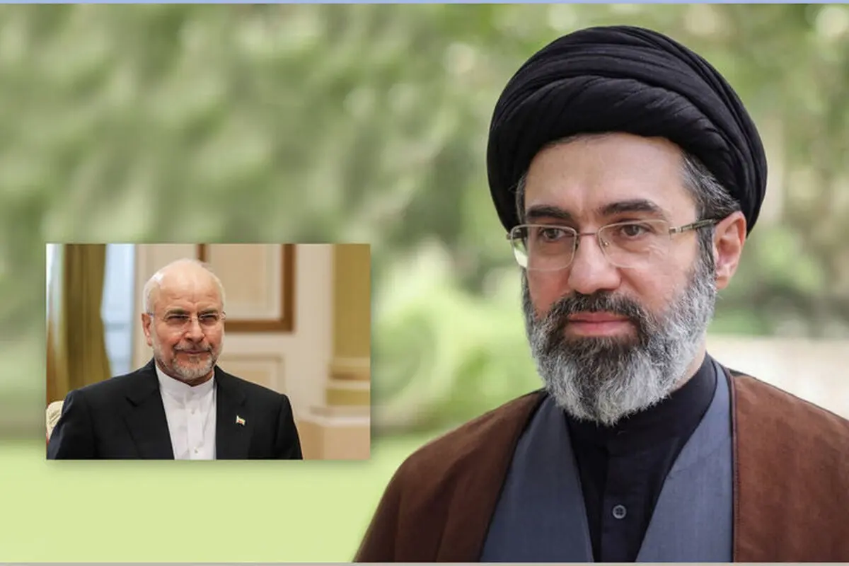دیدار رئیس مجلس شورای اسلامی با رهبر انقلاب

