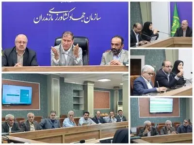 مازندران، تولید کننده بیشترین مرکبات و کیوی کشور / جایگاه نخست استان در امنیت غذایی