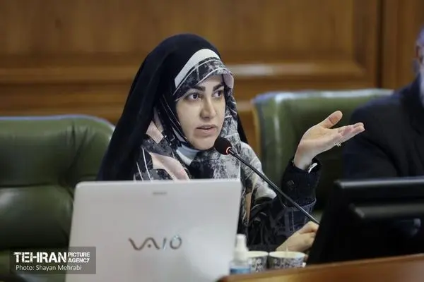 مدیریت شهری به تنهایی قادر به حل آسیب‌های اجتماعی تهران نیست