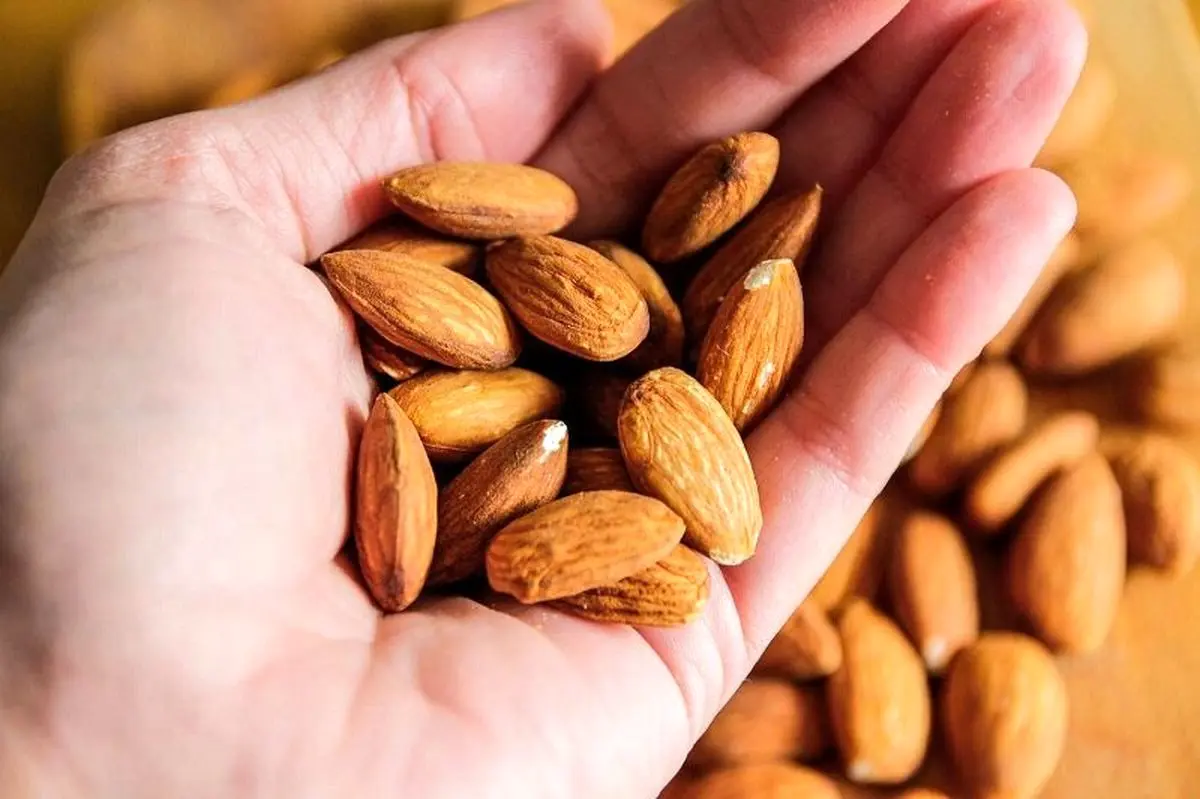 چرا کودکان باید با این آجیل روز خود را شروع کنند؟