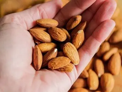 چرا کودکان باید با این آجیل روز خود را شروع کنند؟