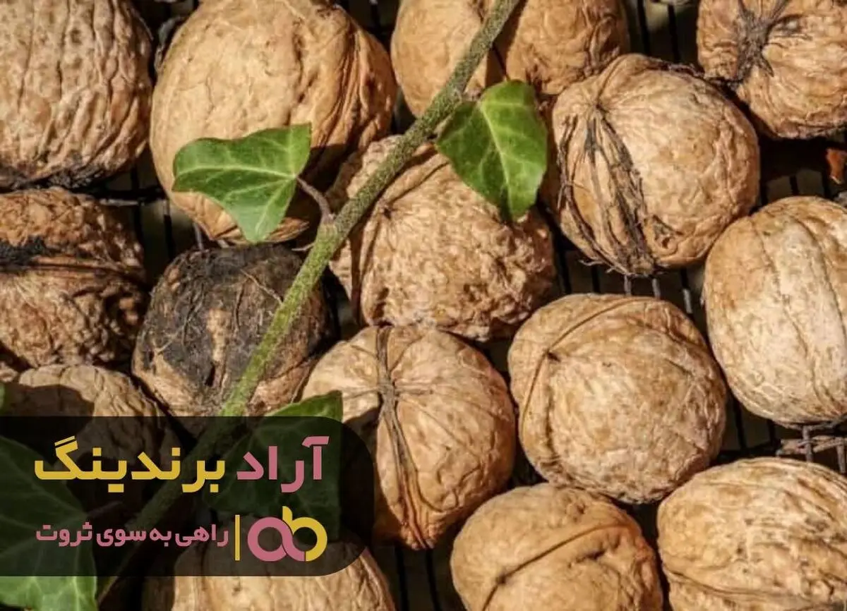 با گردو، پسته کوهی و تخمه ژاپنی ثروتمند شوید