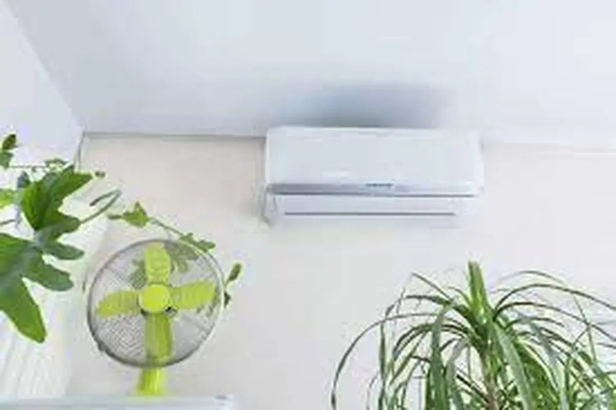 آیا گیاهان به باد کولر حساس اند؟