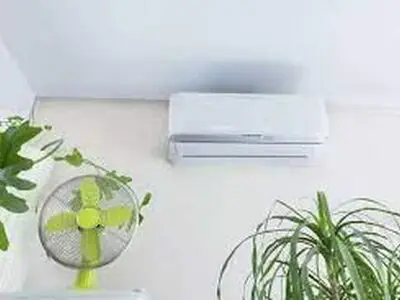 آیا گیاهان به باد کولر حساس اند؟