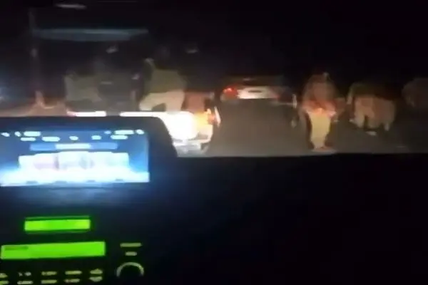 حمله نیروهای جولانی به جرمانا و درگیری با دروزی‌ها + فیلم