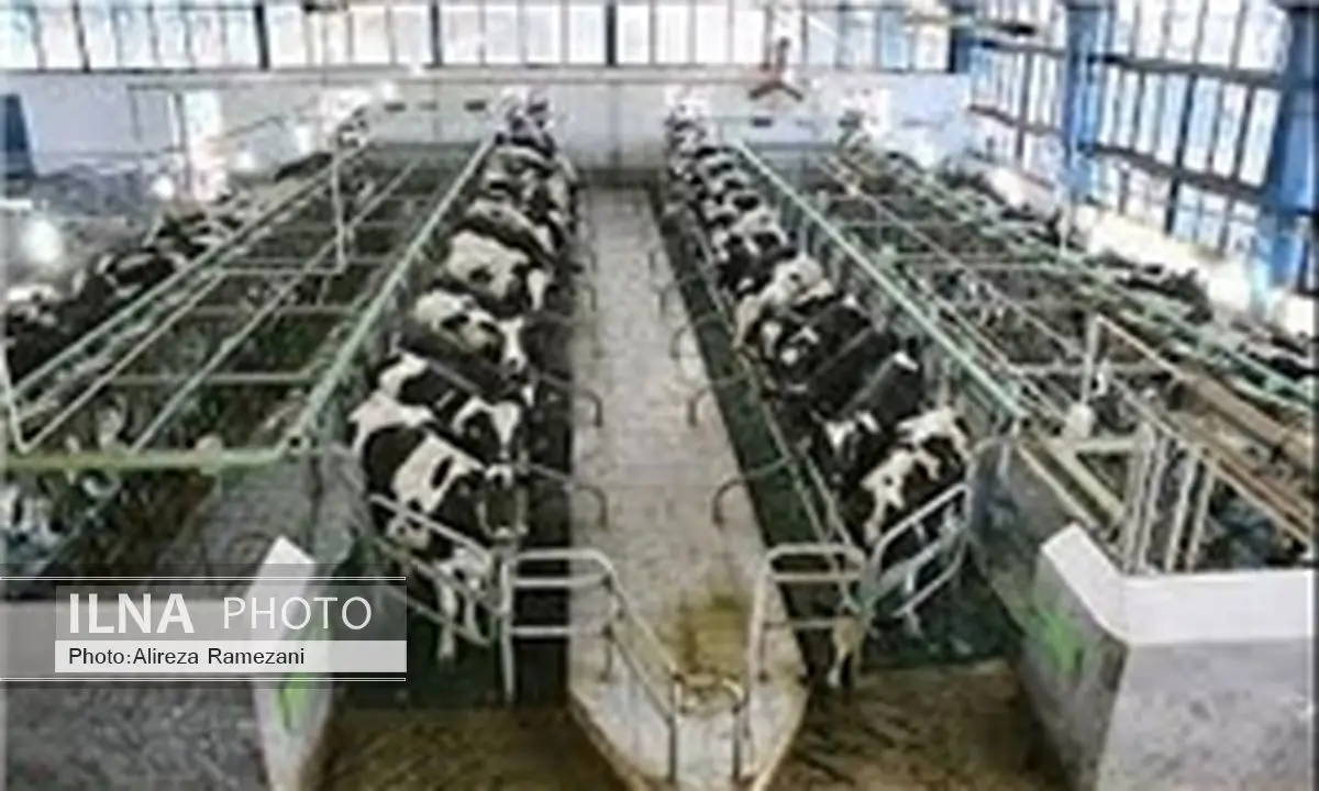  بهره برداری از ۲۵ مجتمع دامپروری