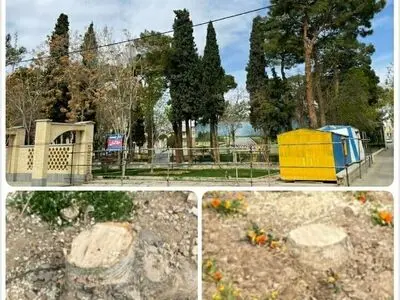 عیدی شهرداری دامغان به شهروندان؛ قطع درختان کهنسال در آستانه روز طبیعت / شهروندان: نگرانیم پاساژ عقیق دیگری در راه باشد/ توقف بررسی پرونده‌های کمیسیون قطع اشجار در شهرداری 