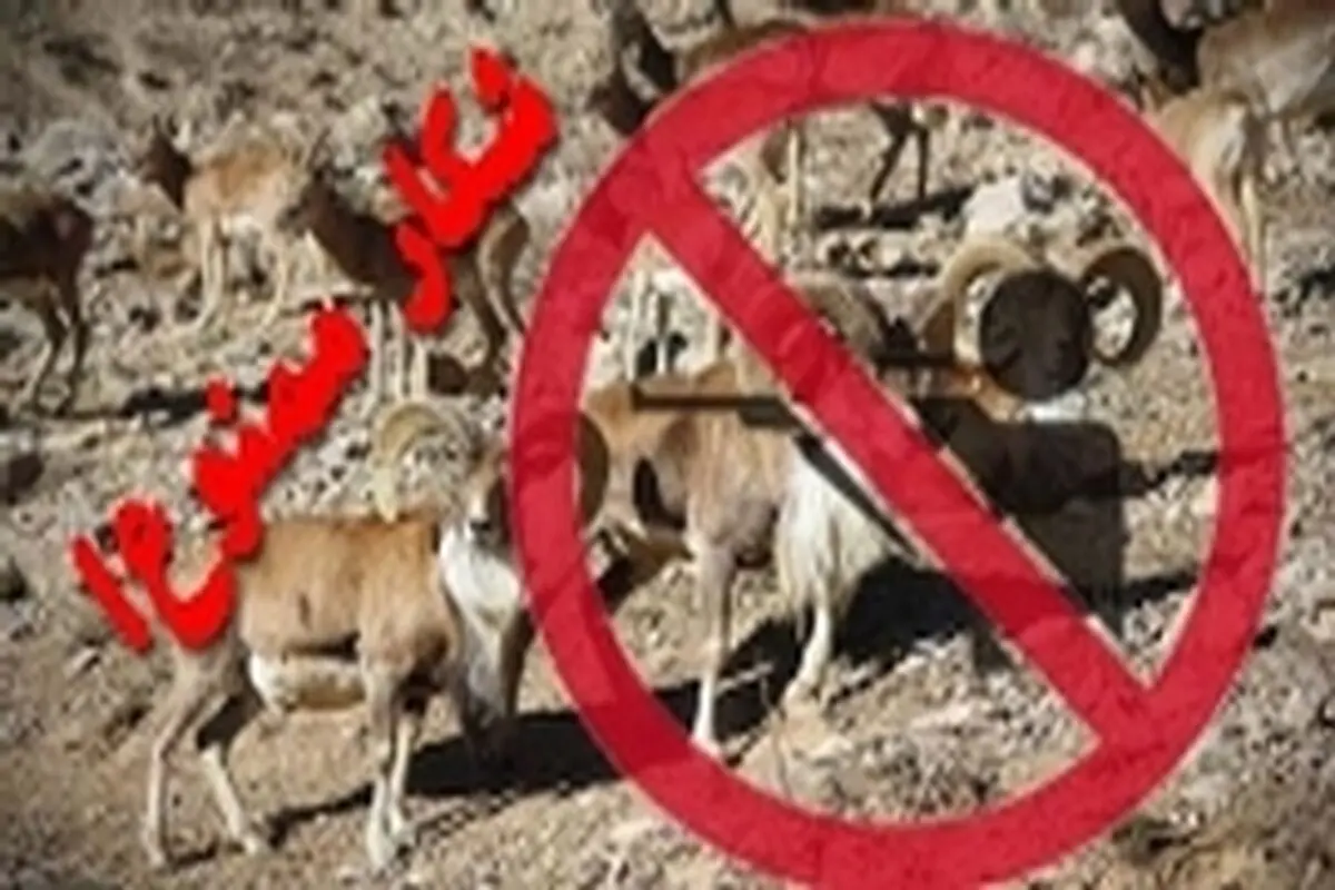 همکاری پلیس اطلاعات با محیط زیست برای دستگیری شکارچیان در دشتستان