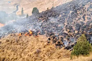 خسارت ۴۵ میلیاردی حریق به جنگل نخاب خوسف