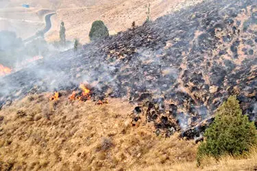 خسارت ۴۵ میلیاردی حریق به جنگل نخاب خوسف