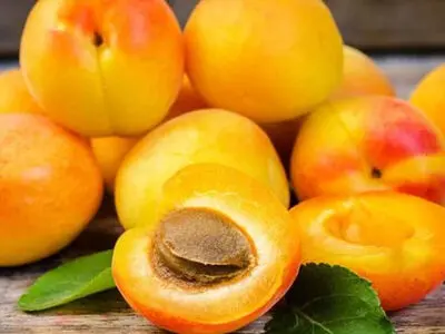 نکات مهم در نگهداری و خرید زردآلو