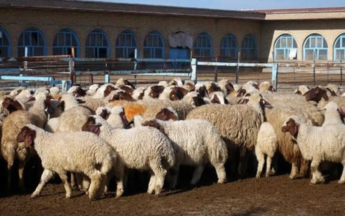 بهره برداری از دو طرح دامپروری در شهرستان خوشاب