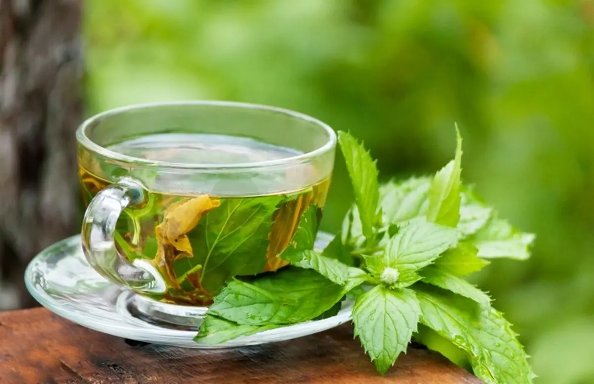 نوشیدن چای نعناع در روزهای گرم