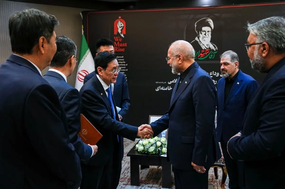 دیدار رئیس مجلس شورای اسلامی با معاون کنگره خلق چین 