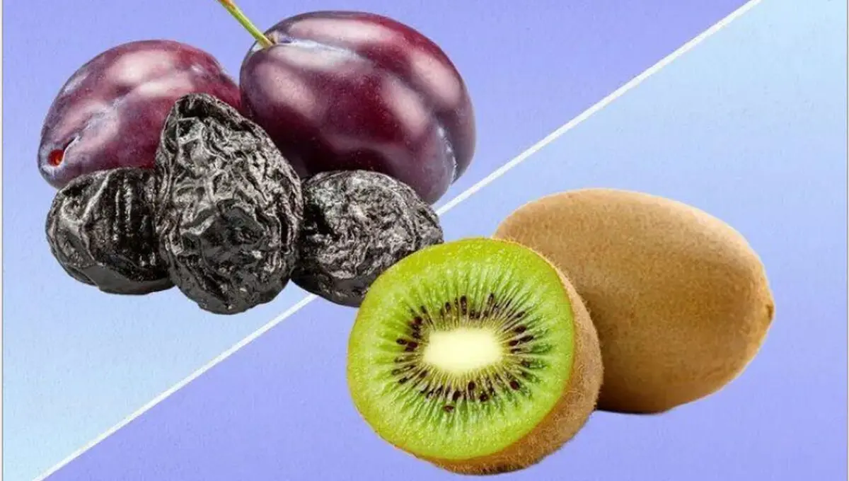 ۲ میوه معجزه آسا برای رفع یبوست/ کیوی بهتر است یا آلو خشک؟