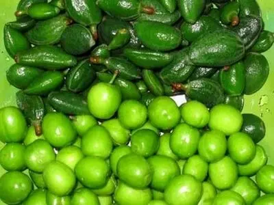 قیمت نوبرانه‌ها در میادین میوه و تره‌بار
