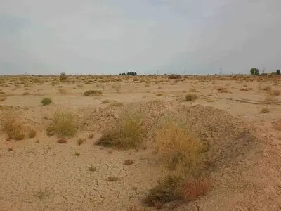 لزوم فعال تر شدن کمیته نظارت بر عرصه های نهالکاری شده خوزستان/ضرورت تامین آب نهال های کاشته شده در کانون ریزگردها