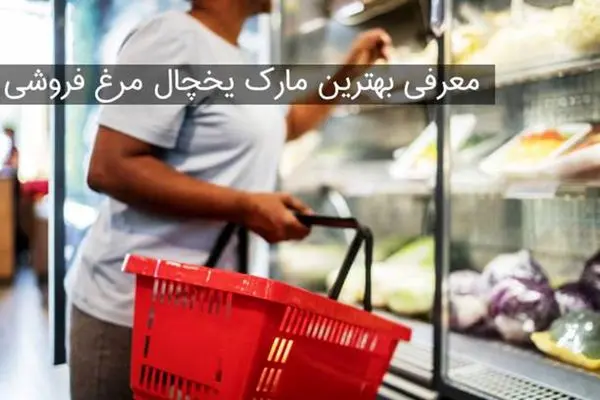 بهترین مارک یخچال مرغ ‌فروشی در بازار ایران کدام است؟