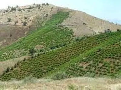 رفع تداخل ۱۰۰۰ پلاک از اراضی ملی در لرستان