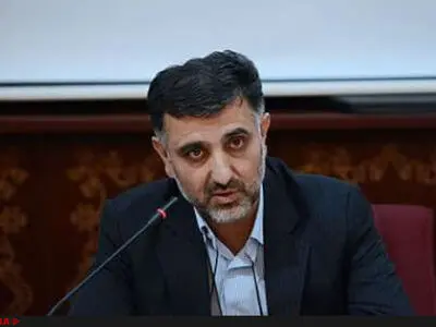 ملوان هیات مدیره دارد/دنیامالی تنها تصمیم‌گیرنده نیست