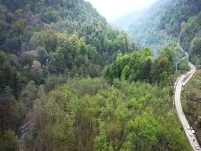 مرد گمشده در جنگل‌های شهرستان رشت به کمک نیرو‌های امدادی نجات یافت