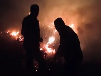 مهار اتش سوزی در ۱۰ هکتار از مراتع نئور 