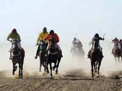 جشنواره ملی زیبایی اسب اصیل عرب آغاز بکار کرد