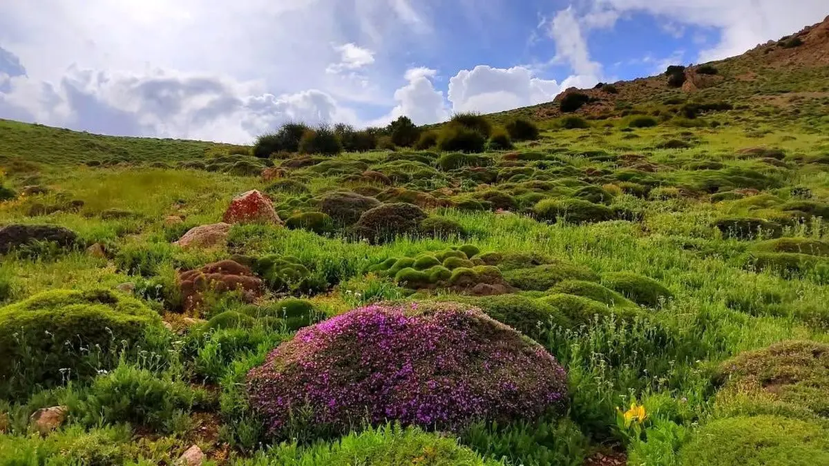 درخشش آفتاب تابستانی در سراسر گیلان