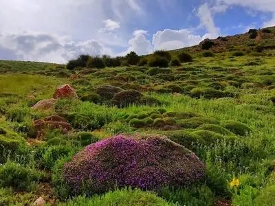 درخشش آفتاب تابستانی در سراسر گیلان